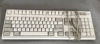 IMG_9836.jpeg IMG_9836.jpeg