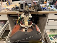 IMG_9910.jpeg IMG_9910.jpeg