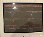 IMG_8391.jpeg IMG_8391.jpeg