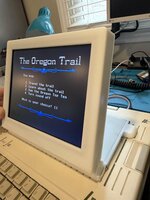 IMG_1356.jpeg IMG_1356.jpeg