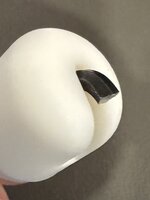 IMG_1358.jpeg IMG_1358.jpeg