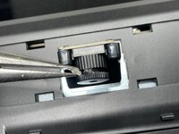 IMG_8225 Medium.jpeg