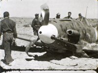 Tunisia_1943_002.jpg