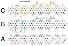 Picture 4FUBAR-TriSlot.jpg