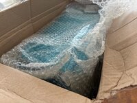 IMG_8953.jpeg IMG_8953.jpeg