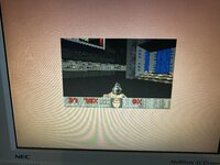IMG_7936.jpeg
