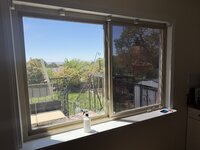 IMG_2933.jpeg