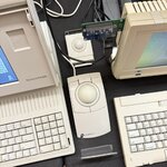 IMG_7977.JPEG