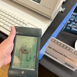 IMG_7978.JPEG