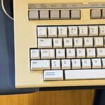 IMG_7980.JPEG