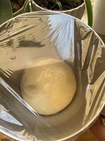 IMG_2999.jpeg