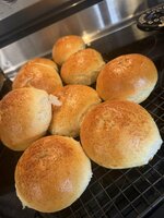 IMG_3002.jpeg