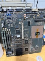 IMG_2091.jpeg