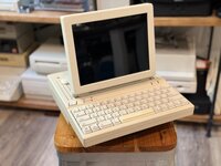 IMG_7023.jpeg