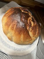 IMG_3039.jpeg