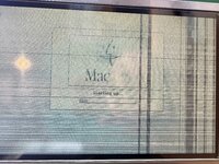 IMG_3333.jpeg