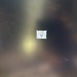 IMG_3195.jpeg