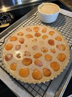 IMG_3077.jpeg