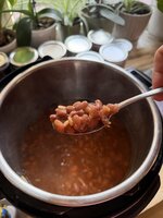 IMG_3092.jpeg