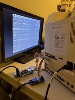 IMG_0355.jpeg