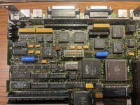 IMG_4804.jpeg