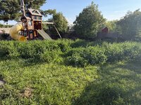 IMG_3228.jpeg