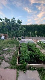 DSC_3534.JPG