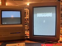IMG_8799.jpeg