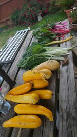 DSC_3606.JPG