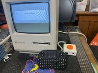 IMG_5953.jpeg IMG_5953.jpeg