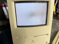 IMG_7314.jpeg