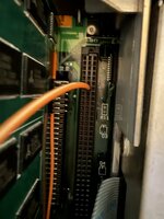 IMG_2493.jpeg