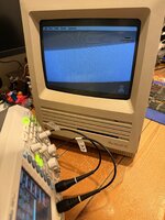IMG_0013.jpeg
