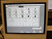 IMG_9025.jpeg