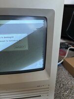 IMG_2317.jpeg