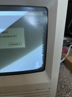 IMG_2315.jpeg