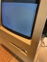 IMG_0100.jpeg