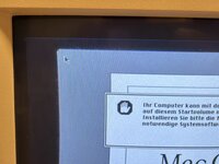IMG_4218.jpeg