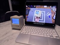 IMG_1950.jpeg