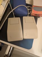 PXL_20260820_195928342.jpg