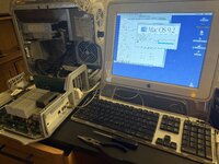 IMG_3450.jpeg