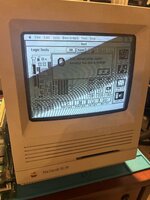 IMG_1251.jpeg