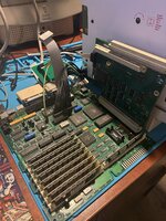 IMG_1252.jpeg