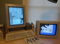 IMG_0598.jpeg