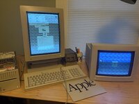 IMG_0599.jpeg