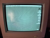 IMG_3244.jpeg
