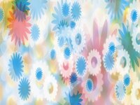 Flower-Power-scaled.jpeg